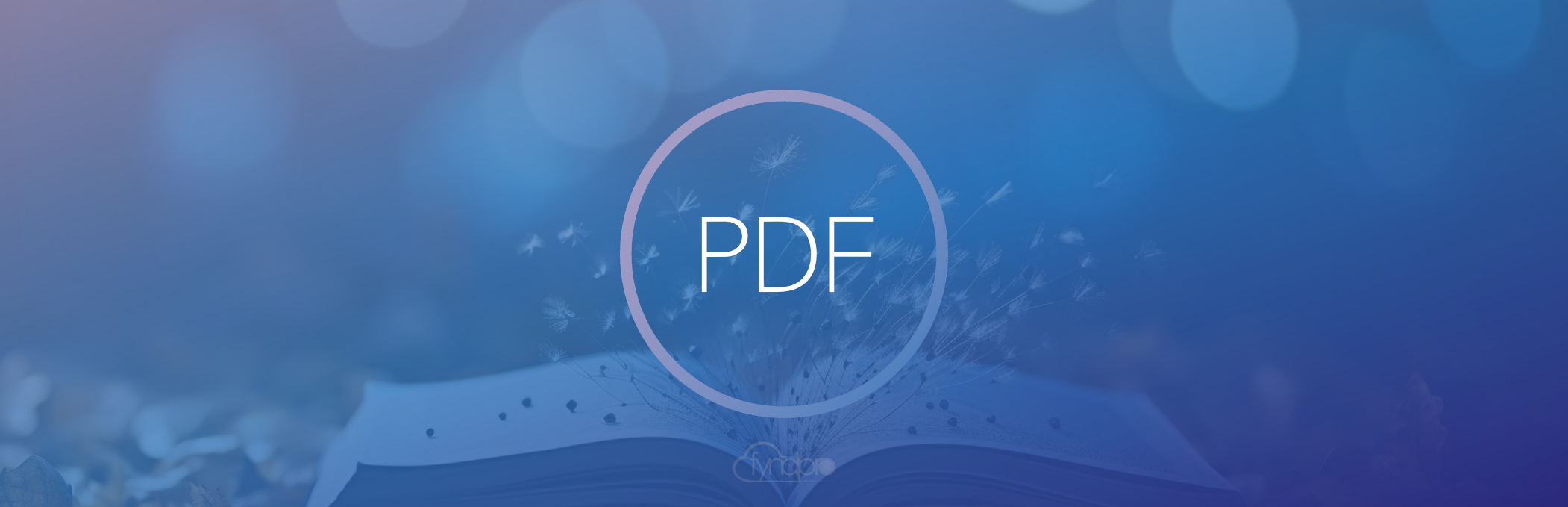 Reasons Why PDFs Cannot Be Saved PDF不能儲存的原因